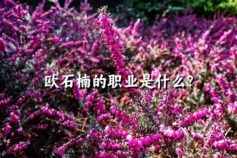 欧石楠的职业是什么？