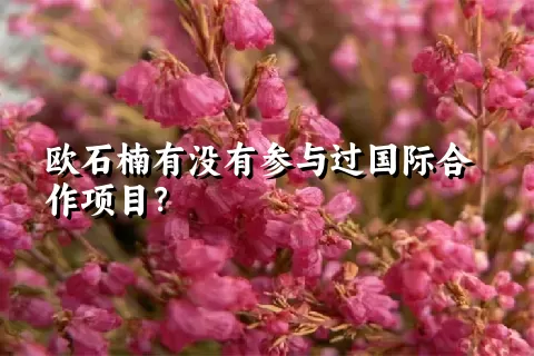 欧石楠有没有参与过国际合作项目？