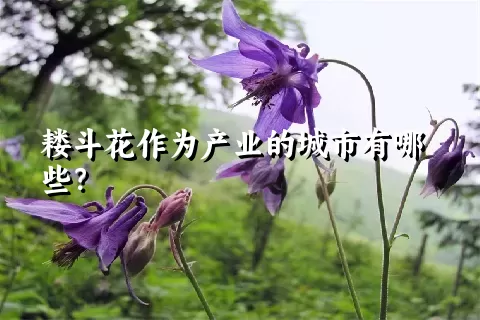 耧斗花作为产业的城市有哪些？