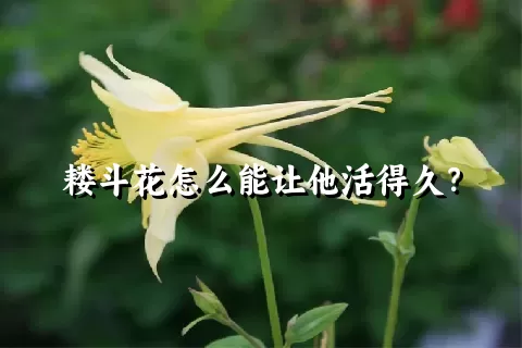 耧斗花怎么能让他活得久？