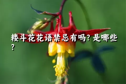 耧斗花花语禁忌有吗？是哪些？