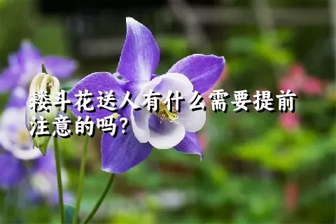 耧斗花送人有什么需要提前注意的吗？