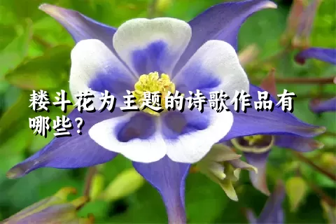 耧斗花为主题的诗歌作品有哪些？