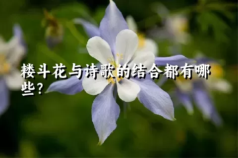 耧斗花与诗歌的结合都有哪些？