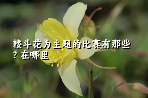 耧斗花为主题的比赛有那些？在哪里