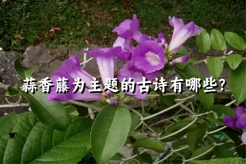 蒜香藤为主题的古诗有哪些？