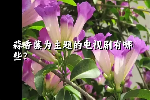 蒜香藤为主题的电视剧有哪些？