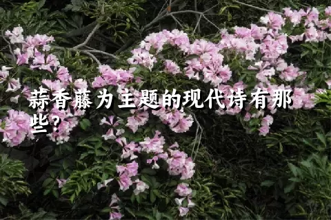 蒜香藤为主题的现代诗有那些？