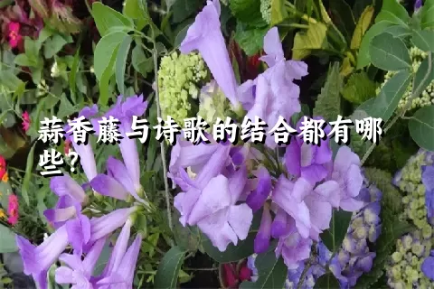 蒜香藤与诗歌的结合都有哪些？