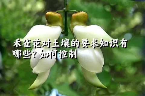 禾雀花对土壤的要求知识有哪些？如何控制