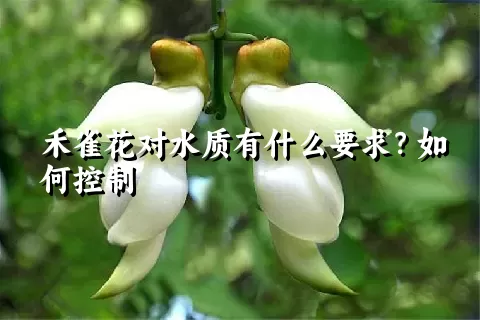 禾雀花对水质有什么要求？如何控制