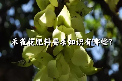 禾雀花肥料要求知识有哪些？