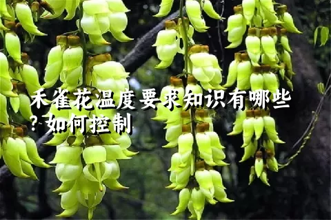 禾雀花温度要求知识有哪些？如何控制