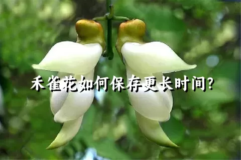 禾雀花如何保存更长时间？