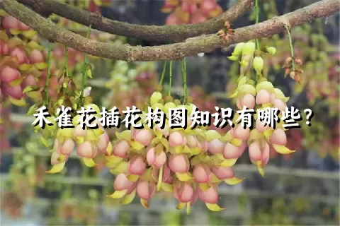 禾雀花插花构图知识有哪些？