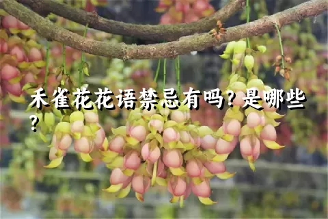 禾雀花花语禁忌有吗？是哪些？