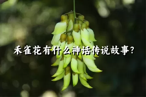 禾雀花有什么神话传说故事？