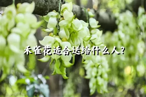 禾雀花适合送给什么人？