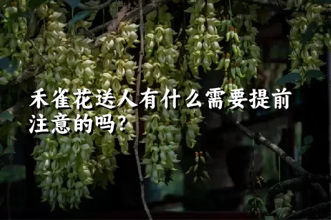 禾雀花送人有什么需要提前注意的吗？