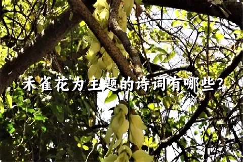 禾雀花为主题的诗词有哪些？