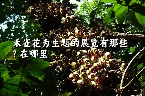 禾雀花为主题的展览有那些？在哪里