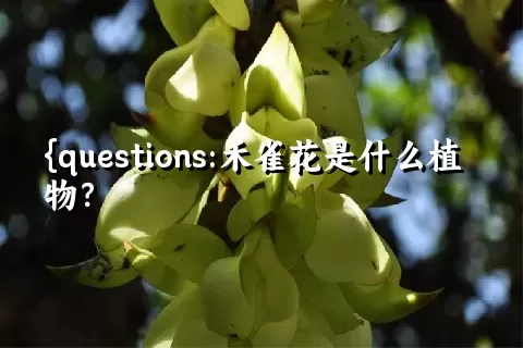 禾雀花是什么植物？