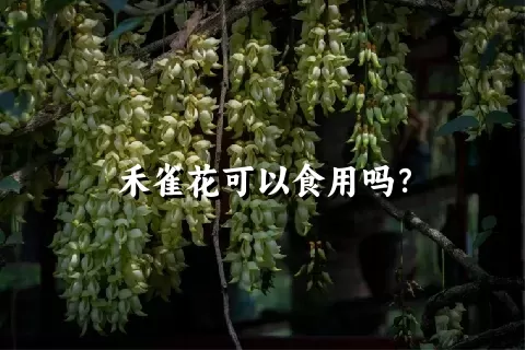 禾雀花可以食用吗？