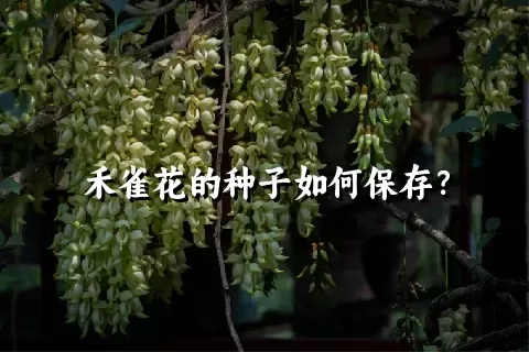 禾雀花的种子如何保存？