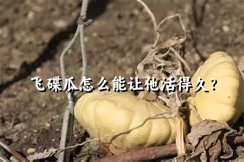 飞碟瓜怎么能让他活得久？