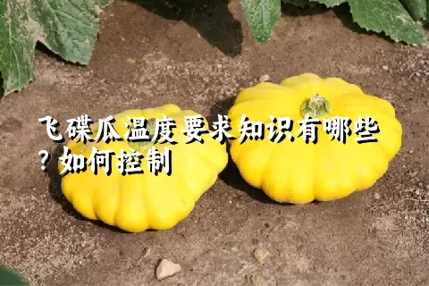 飞碟瓜温度要求知识有哪些？如何控制