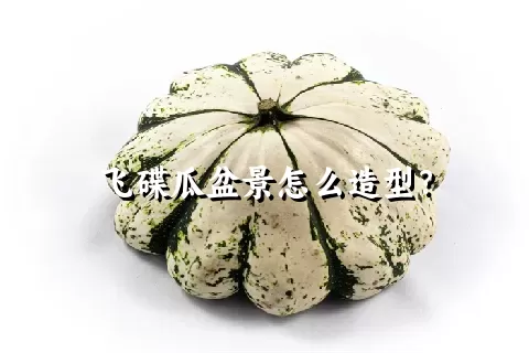 飞碟瓜盆景怎么造型？