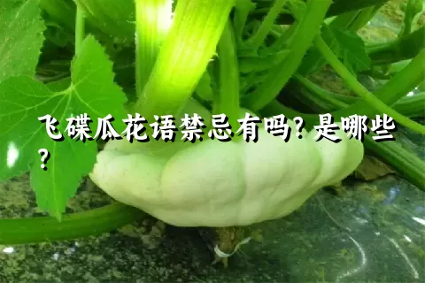 飞碟瓜花语禁忌有吗？是哪些？