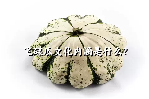 飞碟瓜文化内涵是什么？