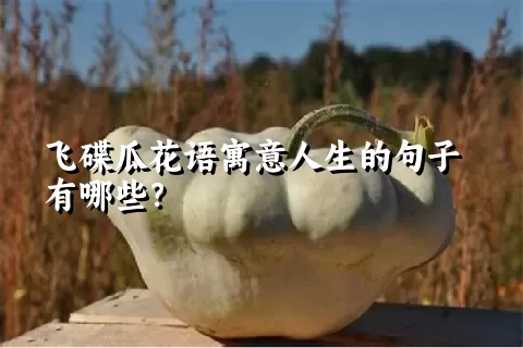 飞碟瓜花语寓意人生的句子有哪些？