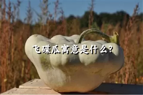 飞碟瓜寓意是什么？