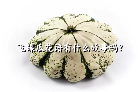 飞碟瓜花语有什么故事吗？