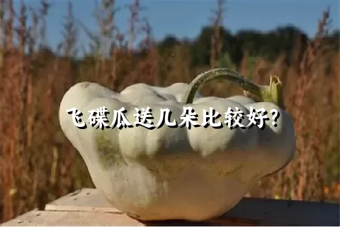 飞碟瓜送几朵比较好？