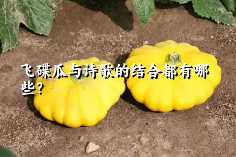 飞碟瓜与诗歌的结合都有哪些？