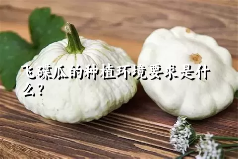 飞碟瓜的种植环境要求是什么？