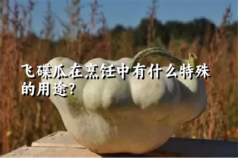 飞碟瓜在烹饪中有什么特殊的用途？