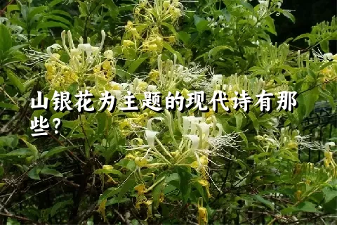 山银花为主题的现代诗有那些？