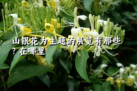 山银花为主题的展览有那些？在哪里