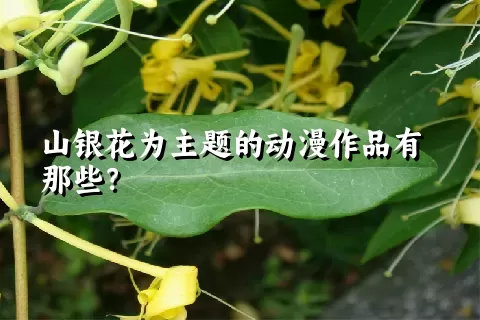 山银花为主题的动漫作品有那些？