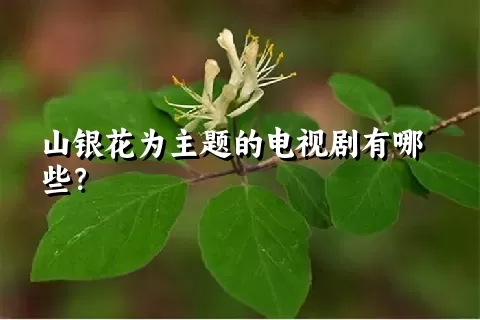 山银花为主题的电视剧有哪些？