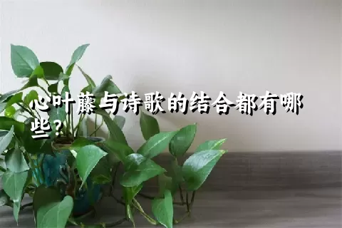 心叶藤与诗歌的结合都有哪些？