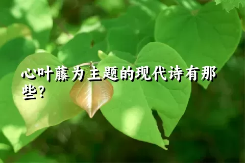 心叶藤为主题的现代诗有那些？