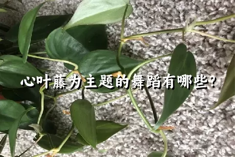 心叶藤为主题的舞蹈有哪些？