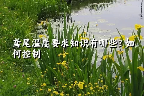 鸢尾温度要求知识有哪些？如何控制