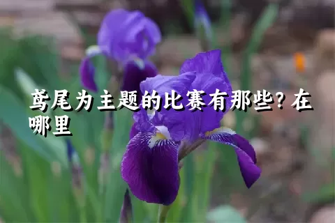 鸢尾为主题的比赛有那些？在哪里