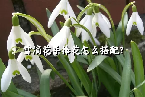 雪滴花手捧花怎么搭配？